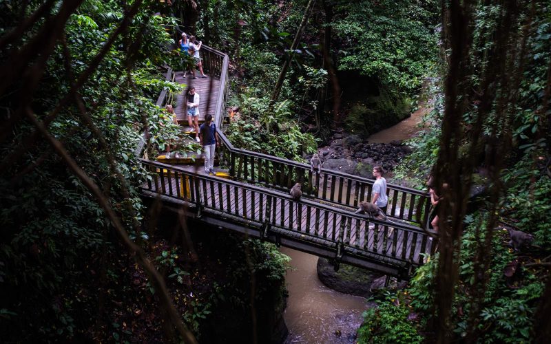 banner-5-new-lowaize